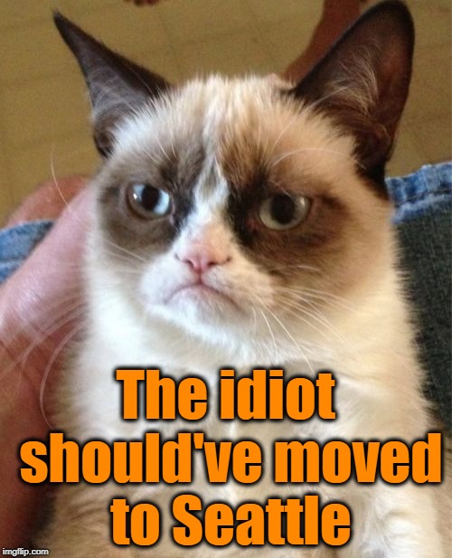 Grumpy Cat Meme | The idiot should've moved to Seattle | image tagged in memes,grumpy cat | made w/ Imgflip meme maker