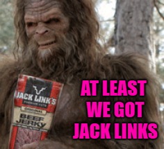 AT LEAST WE GOT JACK LINKS | made w/ Imgflip meme maker