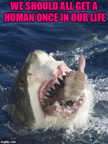WE SHOULD ALL GET A HUMAN ONCE IN OUR LIFE | made w/ Imgflip meme maker