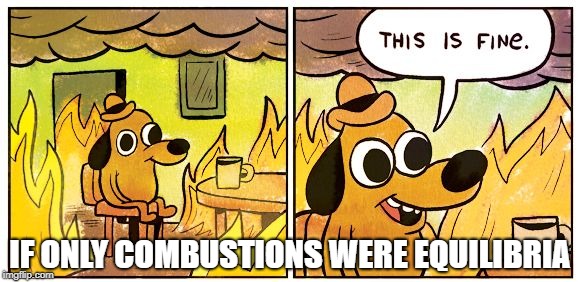This Is Fine | IF ONLY COMBUSTIONS WERE EQUILIBRIA | image tagged in this is fine dog | made w/ Imgflip meme maker