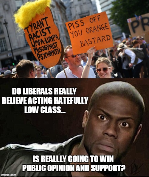I'm just.... asking questions. | DO LIBERALS REALLY BELIEVE ACTING HATEFULLY LOW CLASS... IS REALLLY GOING TO WIN PUBLIC OPINION AND SUPPORT? | image tagged in liberals,hate,low class | made w/ Imgflip meme maker