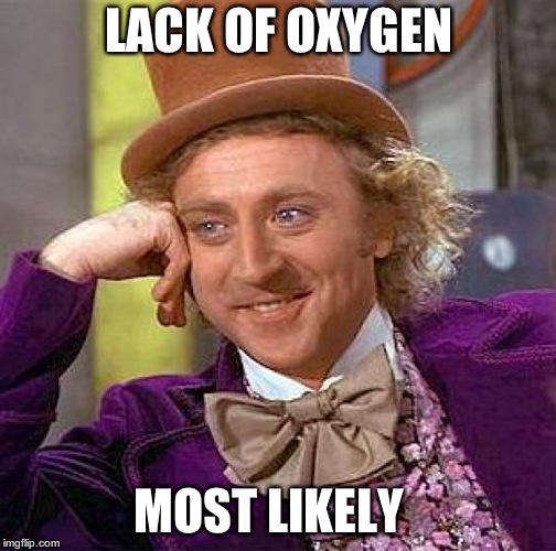 Creepy Condescending Wonka Meme | LACK OF OXYGEN MOST LIKELY | image tagged in memes,creepy condescending wonka | made w/ Imgflip meme maker