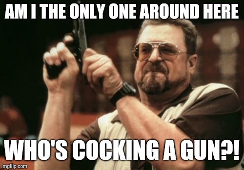 Am I The Only One Around Here | AM I THE ONLY ONE AROUND HERE; WHO'S COCKING A GUN?! | image tagged in memes,am i the only one around here | made w/ Imgflip meme maker