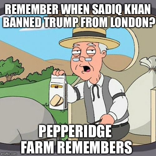 Remember... | REMEMBER WHEN SADIQ KHAN BANNED TRUMP FROM LONDON? PEPPERIDGE FARM REMEMBERS | image tagged in memes,pepperidge farm remembers,sadiq khan,london,trump,liberals | made w/ Imgflip meme maker