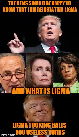 MDGA - Making Dems Gag Again | THE DEMS SHOULD BE HAPPY TO KNOW THAT I AM REINSTATING LIGMA; AND WHAT IS LIGMA; LIGMA FUCKING BALLS YOU USELESS TURDS | image tagged in donald trump,trump,democrats,maga,memes | made w/ Imgflip meme maker