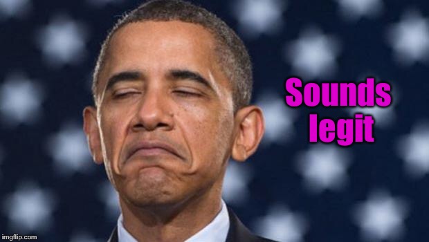 "Seems Legit" Obama | Sounds legit | image tagged in seems legit obama | made w/ Imgflip meme maker