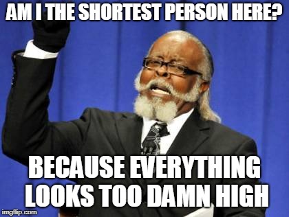 Too Damn High Meme | AM I THE SHORTEST PERSON HERE? BECAUSE EVERYTHING LOOKS TOO DAMN HIGH | image tagged in memes,too damn high | made w/ Imgflip meme maker