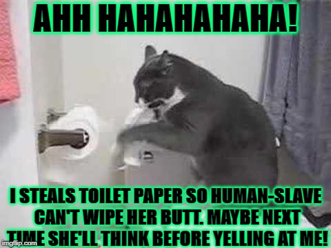 AHH HAHAHAHAHA! I STEALS TOILET PAPER SO HUMAN-SLAVE CAN'T WIPE HER BUTT. MAYBE NEXT TIME SHE'LL THINK BEFORE YELLING AT ME! | image tagged in toilet paper thief | made w/ Imgflip meme maker