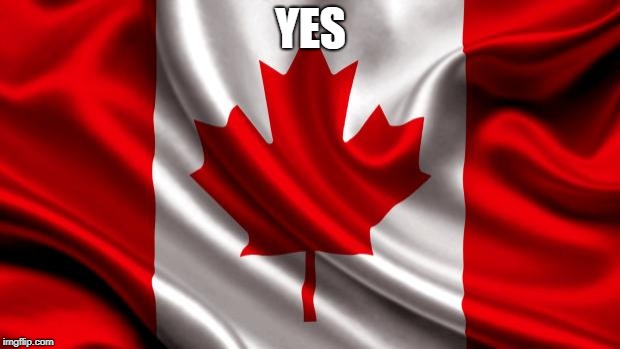 canadian flag | YES | image tagged in canadian flag | made w/ Imgflip meme maker