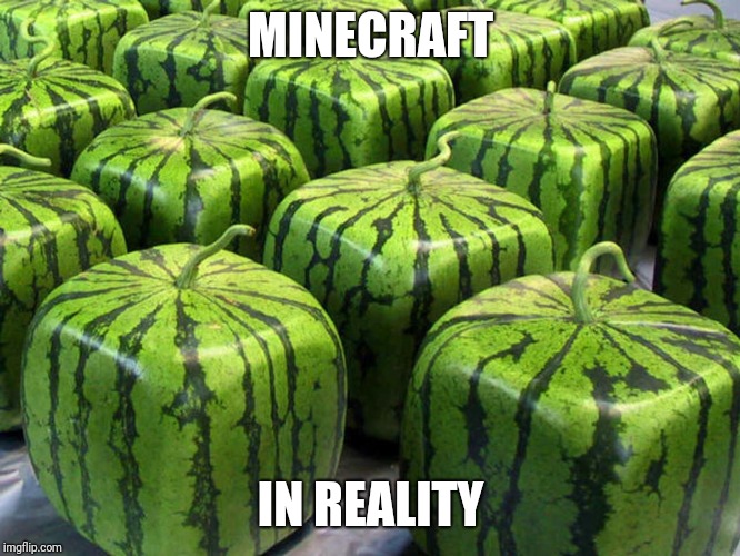 Minecraft Melons | MINECRAFT; IN REALITY | image tagged in minecraft melons | made w/ Imgflip meme maker