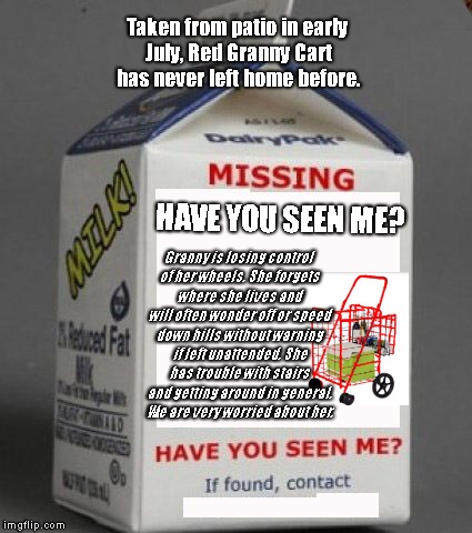 Milk carton | Taken from patio in early July, Red Granny Cart has never left home before. HAVE YOU SEEN ME? Granny is losing control of her wheels. She forgets where she lives and will often wonder off or speed down hills without warning if left unattended. She has trouble with stairs and getting around in general. We are very worried about her. | image tagged in milk carton,scumbag | made w/ Imgflip meme maker