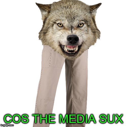 COS THE MEDIA SUX | made w/ Imgflip meme maker