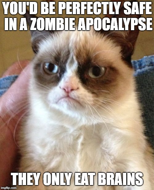If you need a good insult, here's one: | YOU'D BE PERFECTLY SAFE IN A ZOMBIE APOCALYPSE; THEY ONLY EAT BRAINS | image tagged in memes,grumpy cat | made w/ Imgflip meme maker