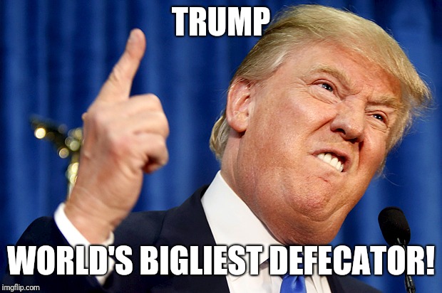 Donald Trump | TRUMP; WORLD'S BIGLIEST DEFECATOR! | image tagged in donald trump | made w/ Imgflip meme maker