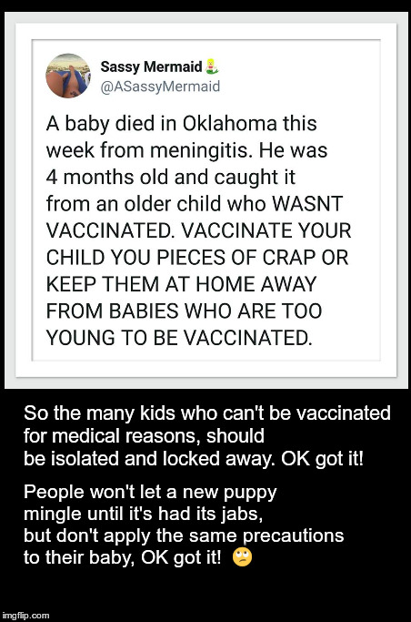 BS Big Pharma propaganda! | So the many kids who can't be vaccinated for medical reasons, should be isolated and locked away. OK got it! People won't let a new puppy mingle until it's had its jabs, but don't apply the same precautions to their baby, OK got it!  🙄 | image tagged in big pharma,vaccines,vaccination,propaganda | made w/ Imgflip meme maker