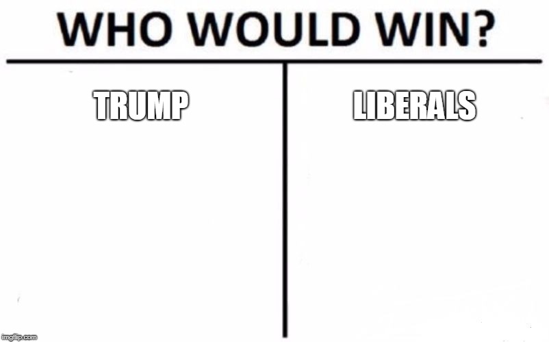 The War Which May Rage On | TRUMP; LIBERALS | image tagged in memes,who would win,funny,liberals,donald trump,politics | made w/ Imgflip meme maker