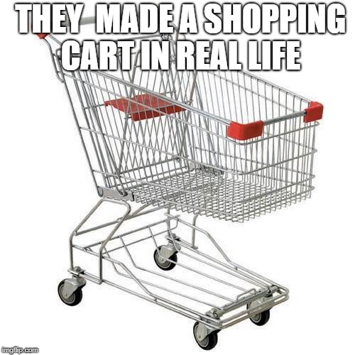 shopping cart | THEY  MADE A SHOPPING CART IN REAL LIFE | image tagged in shopping cart | made w/ Imgflip meme maker
