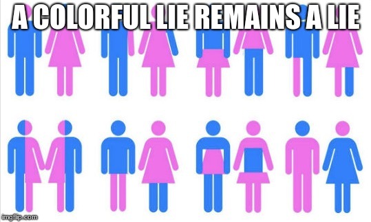 Gender chart 58 genders | A COLORFUL LIE REMAINS A LIE | image tagged in gender chart 58 genders | made w/ Imgflip meme maker