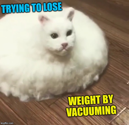 TRYING TO LOSE WEIGHT BY VACUUMING | made w/ Imgflip meme maker