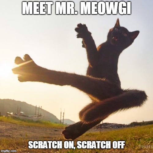 MEET MR. MEOWGI; SCRATCH ON, SCRATCH OFF | image tagged in karate kat | made w/ Imgflip meme maker