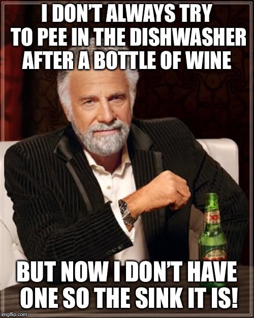 The Most Interesting Man In The World Meme | I DON’T ALWAYS TRY TO PEE IN THE DISHWASHER AFTER A BOTTLE OF WINE; BUT NOW I DON’T HAVE ONE SO THE SINK IT IS! | image tagged in memes,the most interesting man in the world | made w/ Imgflip meme maker