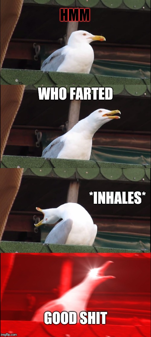 Inhaling Seagull Meme | HMM; WHO FARTED; *INHALES*; GOOD SHIT | image tagged in memes,inhaling seagull | made w/ Imgflip meme maker