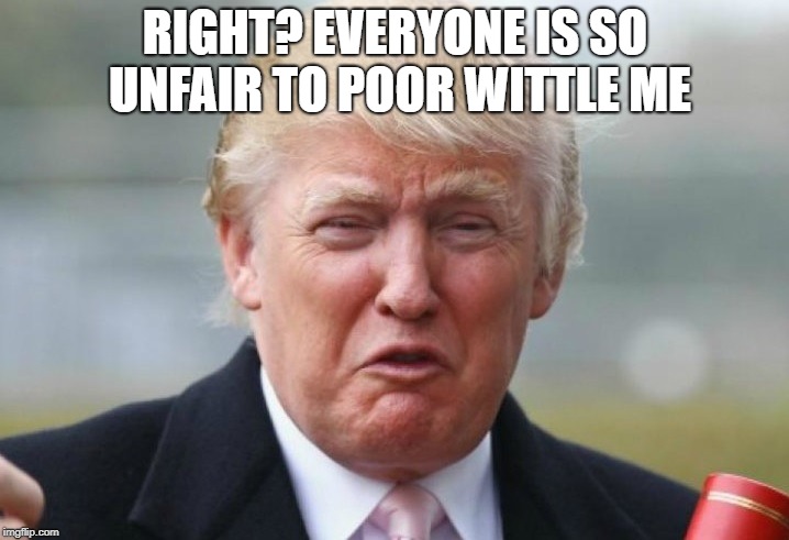 Trump Crybaby | RIGHT? EVERYONE IS SO UNFAIR TO POOR WITTLE ME | image tagged in trump crybaby | made w/ Imgflip meme maker