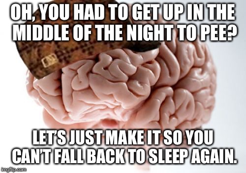Scumbag Brain Meme | OH, YOU HAD TO GET UP IN THE MIDDLE OF THE NIGHT TO PEE? LET’S JUST MAKE IT SO YOU CAN’T FALL BACK TO SLEEP AGAIN. | image tagged in memes,scumbag brain | made w/ Imgflip meme maker