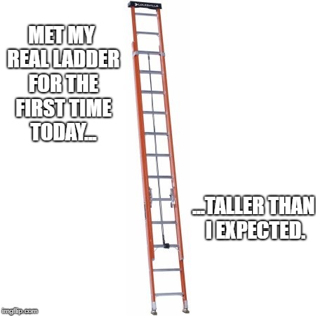 step ladder | MET MY REAL LADDER FOR THE FIRST TIME TODAY... ...TALLER THAN I EXPECTED. | image tagged in ladders vs walls | made w/ Imgflip meme maker