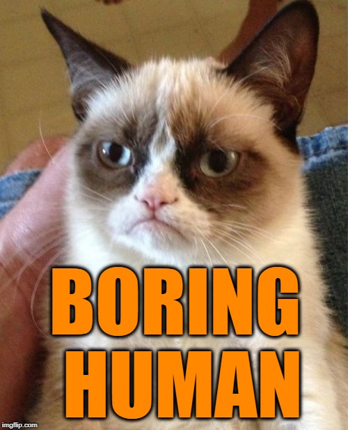 Grumpy Cat Meme | BORING HUMAN | image tagged in memes,grumpy cat | made w/ Imgflip meme maker