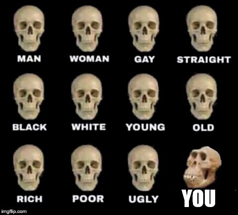 I got bored | YOU | image tagged in idiot skull,you | made w/ Imgflip meme maker