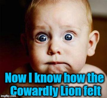 scared baby | Now I know how the Cowardly Lion felt | image tagged in scared baby | made w/ Imgflip meme maker