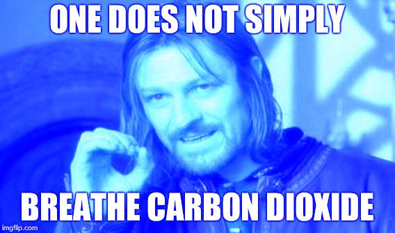 Wait god does that | ONE DOES NOT SIMPLY; BREATHE CARBON DIOXIDE | image tagged in memes,one does not simply | made w/ Imgflip meme maker