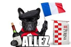 image tagged in allez france | made w/ Imgflip meme maker