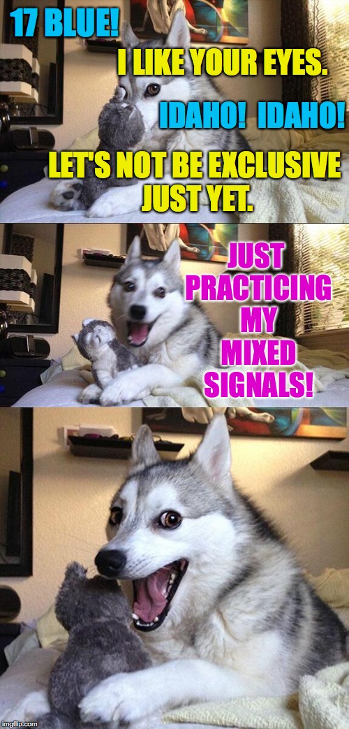 They're all too good at it not to be practicing. | 17 BLUE! I LIKE YOUR EYES. IDAHO!  IDAHO! LET'S NOT BE EXCLUSIVE JUST YET. JUST PRACTICING MY MIXED SIGNALS! | image tagged in memes,bad pun dog,mixed signals | made w/ Imgflip meme maker
