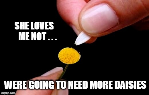 Find your inner flower killer... | SHE LOVES    ME NOT . . . WERE GOING TO NEED MORE DAISIES | image tagged in love,daisy,lovesick,flowers,the daily struggle,grim reaper | made w/ Imgflip meme maker