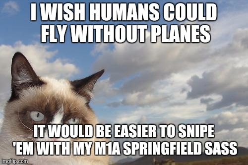Grumpy Cat Wishes Humans Could Fly... | I WISH HUMANS COULD FLY WITHOUT PLANES; IT WOULD BE EASIER TO SNIPE 'EM WITH MY M1A SPRINGFIELD SASS | image tagged in memes,grumpy cat sky,grumpy cat | made w/ Imgflip meme maker