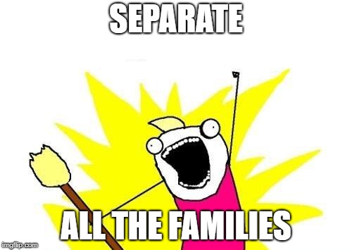 X All The Y Meme | SEPARATE; ALL THE FAMILIES | image tagged in memes,x all the y | made w/ Imgflip meme maker
