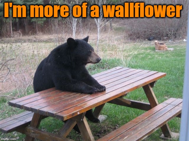 bear picnic table | I'm more of a wallflower | image tagged in bear picnic table | made w/ Imgflip meme maker