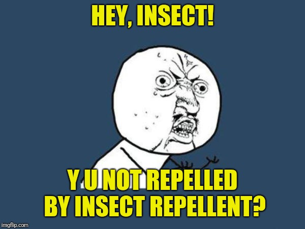 Hey, mosquito and fly! | HEY, INSECT! Y U NOT REPELLED BY INSECT REPELLENT? | image tagged in u y no guy,summer vacation,mosquito,meme,memes | made w/ Imgflip meme maker
