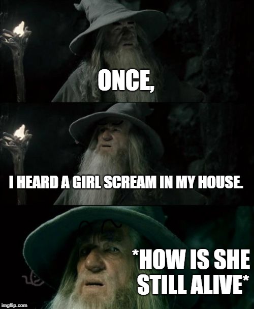 Confused Gandalf |  ONCE, I HEARD A GIRL SCREAM IN MY HOUSE. *HOW IS SHE STILL ALIVE* | image tagged in memes,confused gandalf | made w/ Imgflip meme maker