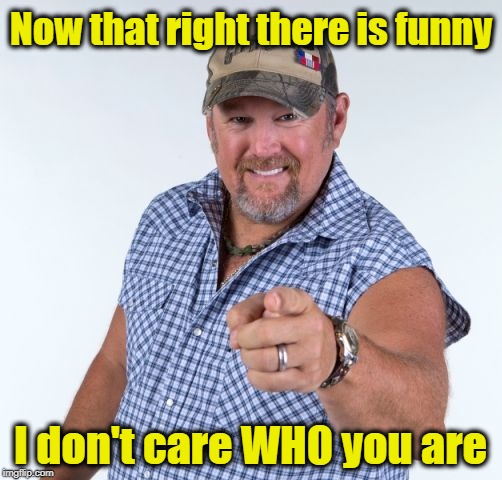 Larry the Cable Guy | Now that right there is funny I don't care WHO you are | image tagged in larry the cable guy | made w/ Imgflip meme maker