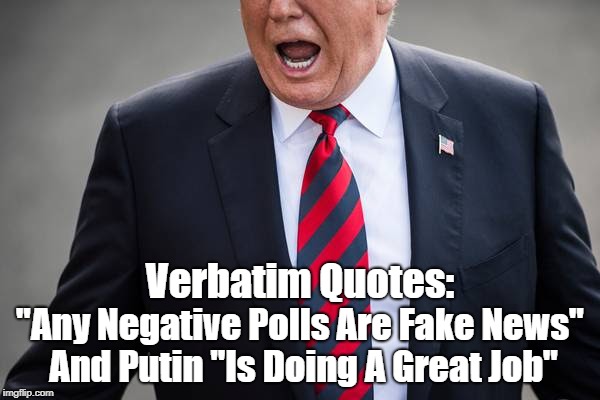 Verbatim Quotes: "Any Negative Polls Are Fake News" And Putin "Is Doing A Great Job" | made w/ Imgflip meme maker