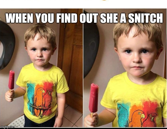 Snitch  | WHEN YOU FIND OUT SHE A SNITCH | image tagged in snitch | made w/ Imgflip meme maker