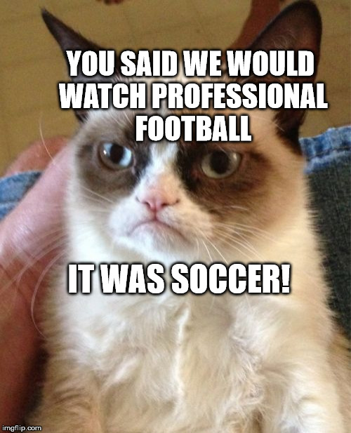 Grumpy Cat Meme | YOU SAID WE WOULD WATCH PROFESSIONAL FOOTBALL; IT WAS SOCCER! | image tagged in memes,grumpy cat | made w/ Imgflip meme maker