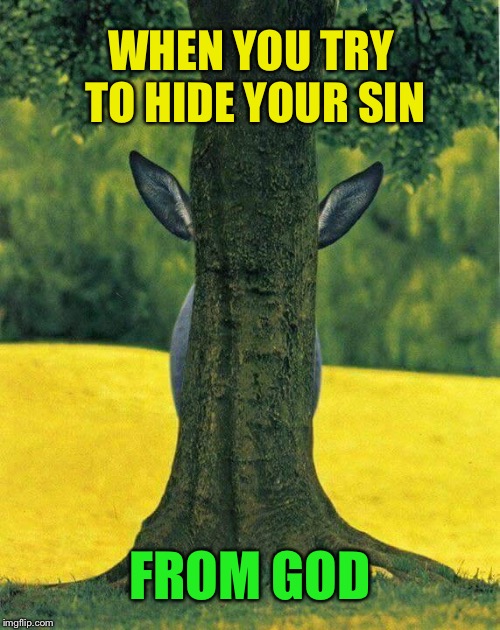 Who told you you were naked? | WHEN YOU TRY TO HIDE YOUR SIN; FROM GOD | image tagged in hiding,sin,you can't see me,god,you know,funny animals | made w/ Imgflip meme maker