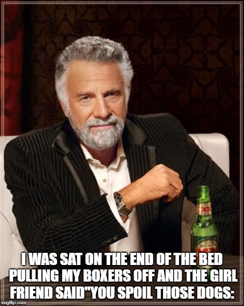 The Most Interesting Man In The World Meme | I WAS SAT ON THE END OF THE BED PULLING MY BOXERS OFF AND THE GIRL FRIEND SAID"YOU SPOIL THOSE DOGS: | image tagged in memes,the most interesting man in the world | made w/ Imgflip meme maker