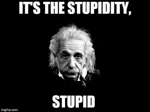 Albert Einstein 1 Meme | IT'S THE STUPIDITY, STUPID | image tagged in memes,albert einstein 1 | made w/ Imgflip meme maker