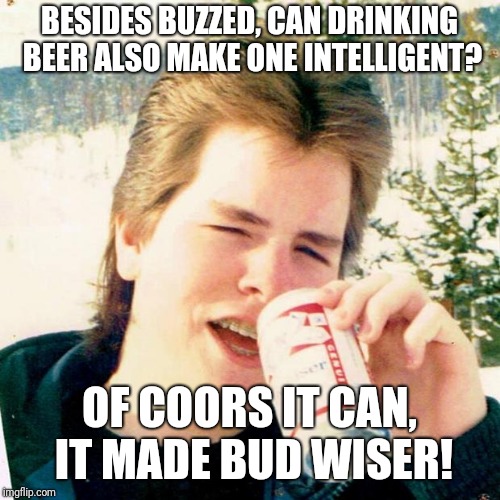 Eighties Teen | BESIDES BUZZED, CAN DRINKING BEER ALSO MAKE ONE INTELLIGENT? OF COORS IT CAN, IT MADE BUD WISER! | image tagged in memes,eighties teen | made w/ Imgflip meme maker