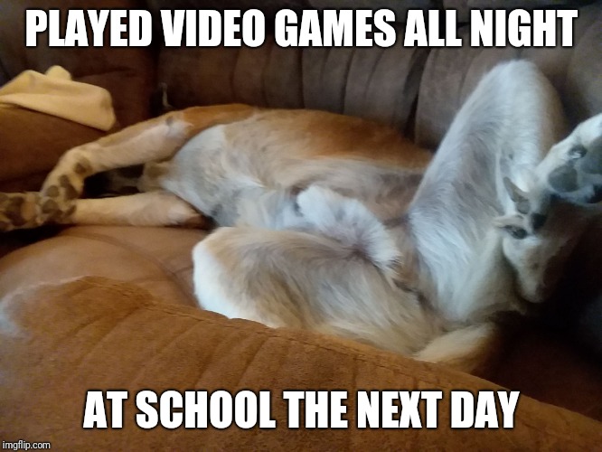 PLAYED VIDEO GAMES ALL NIGHT; AT SCHOOL THE NEXT DAY | image tagged in rough life | made w/ Imgflip meme maker